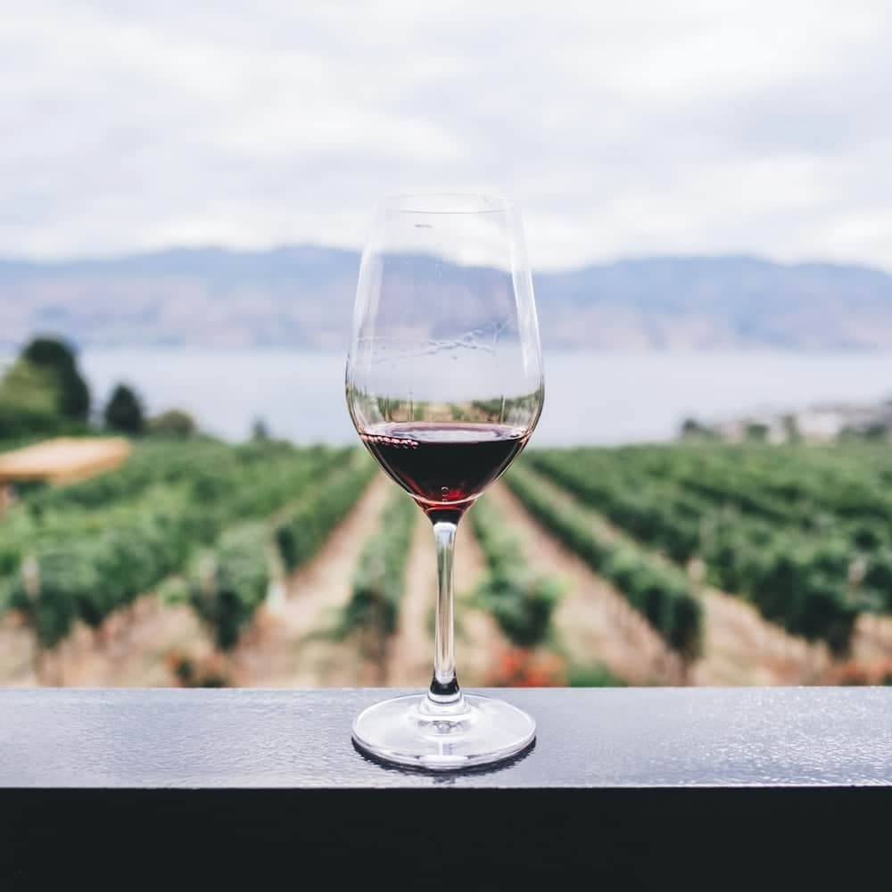 Verres à vin universels, lot de 6