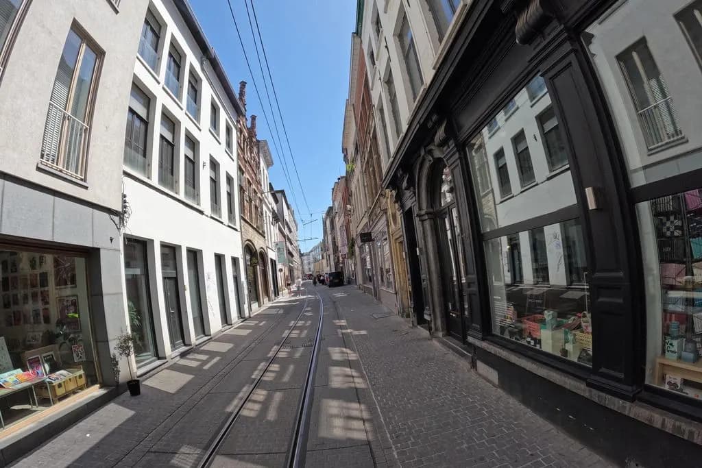 Kattencafe Katmosfeer Antwerpen