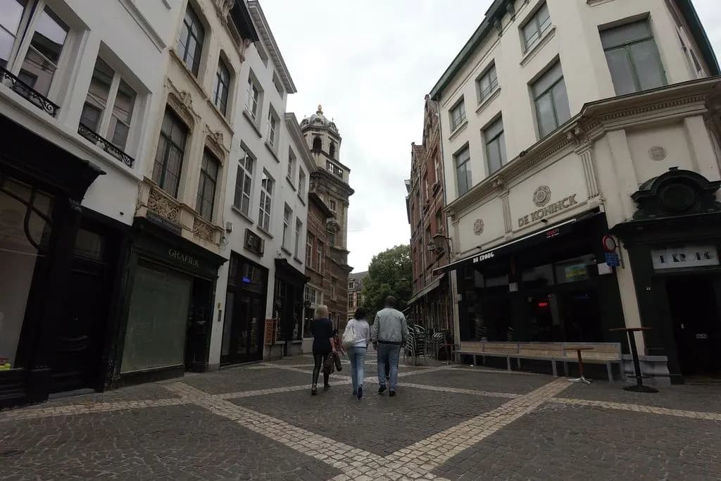 Zorro Antwerp