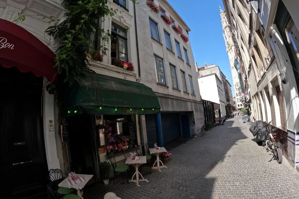 Estro Armonico