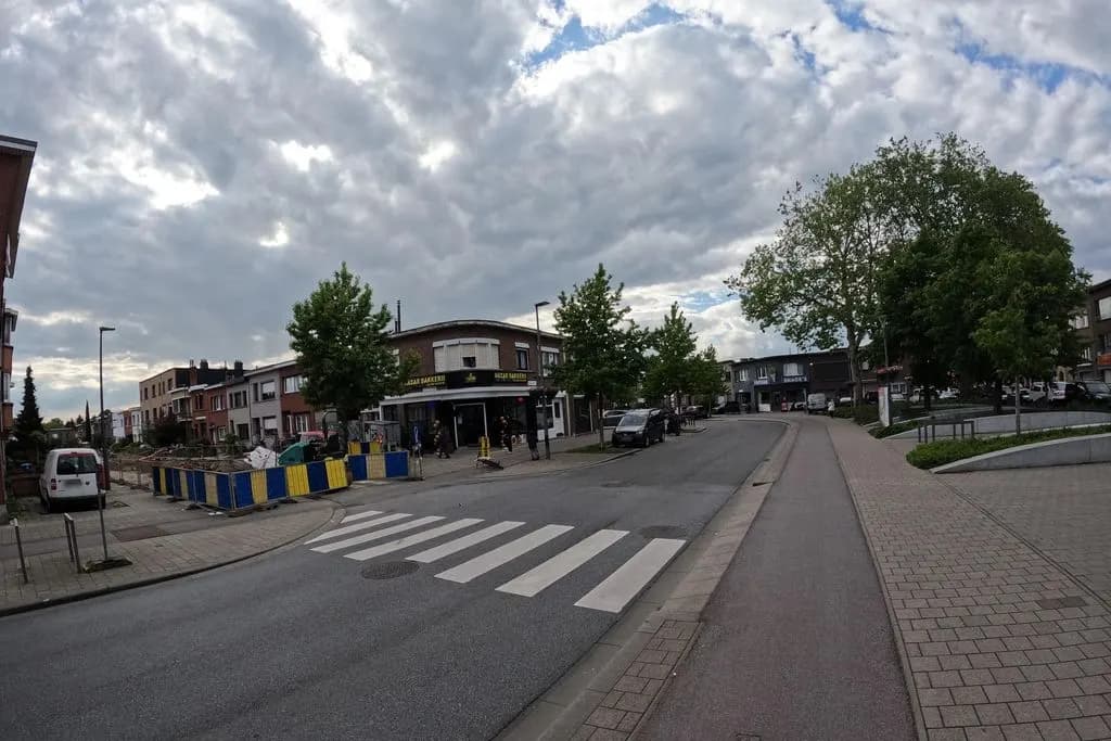 Swatow wilrijk valaar