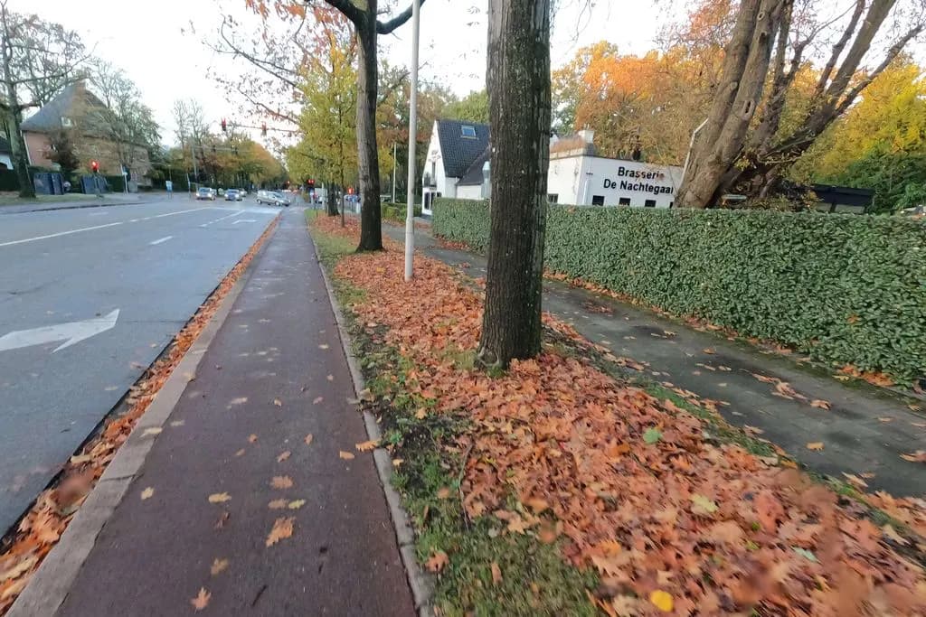 De Nachtegaal