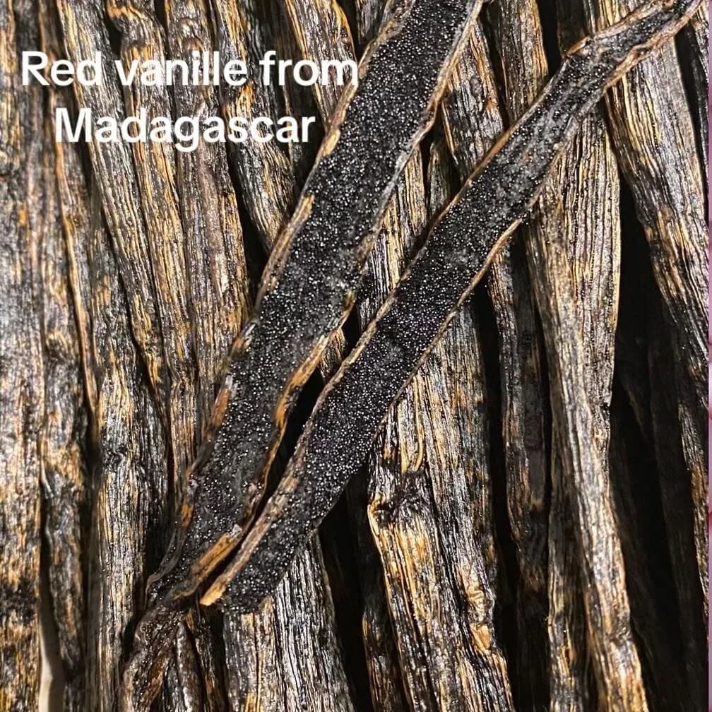 Premium Red Dried Vanilla from Madagascar – 15+ cm, 100 g