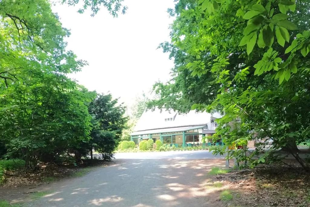 Brasserie Woods