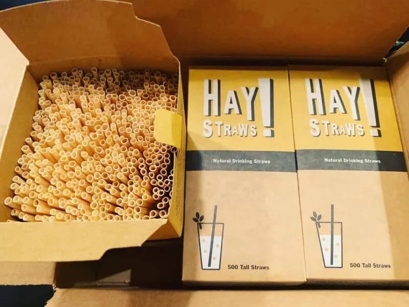 Pailles Longdrink Haystraws en blé (3000 pcs)