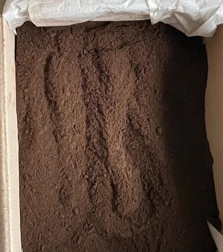 Poudre de vanille 100 % pure de Madagascar, 100 g
