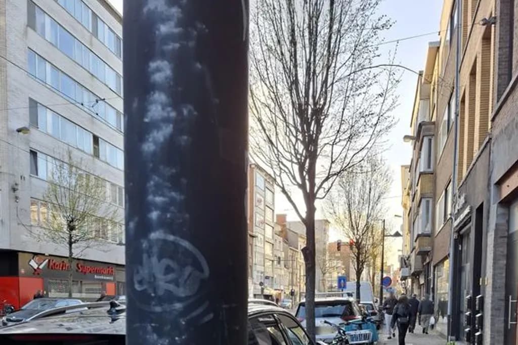 Vaquiero Antwerpen